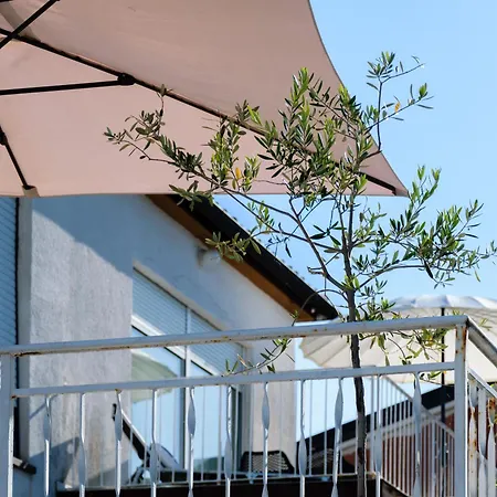 Apartma Maravea Blizu Morja - Maravea Near The Sea
