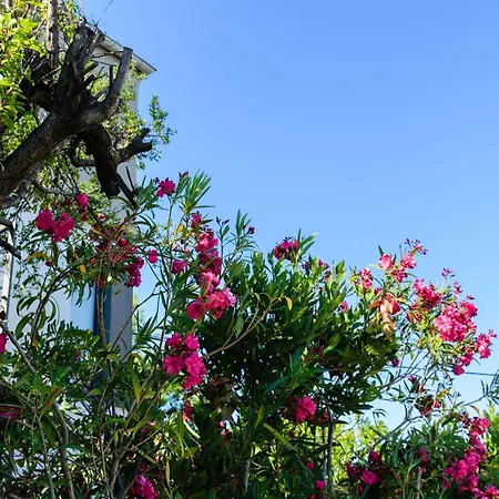 شقة Apartma Maravea Blizu Morja - Maravea Near The Sea إيزولا