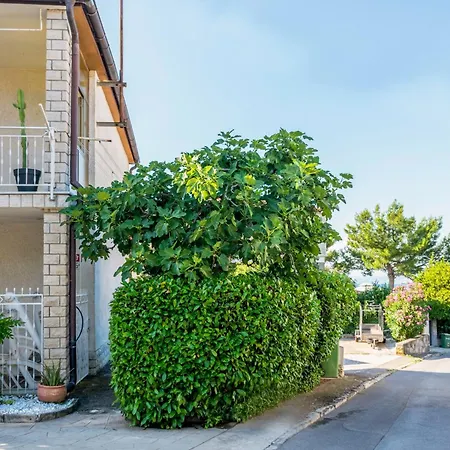 Apartma Maravea Blizu Morja - Maravea Near The Sea *